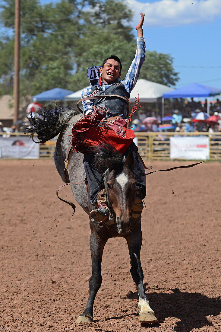 Rodeo-Wettbewerb während der Navajo Nation Fair, einer weltbekannten Veranstaltung, die die Landwirtschaft, die Kunst und das Kunsthandwerk der Navajo vorstellt und durch kulturelle Unterhaltung das Erbe der Navajo fördert und bewahrt. Window Rock, Arizona