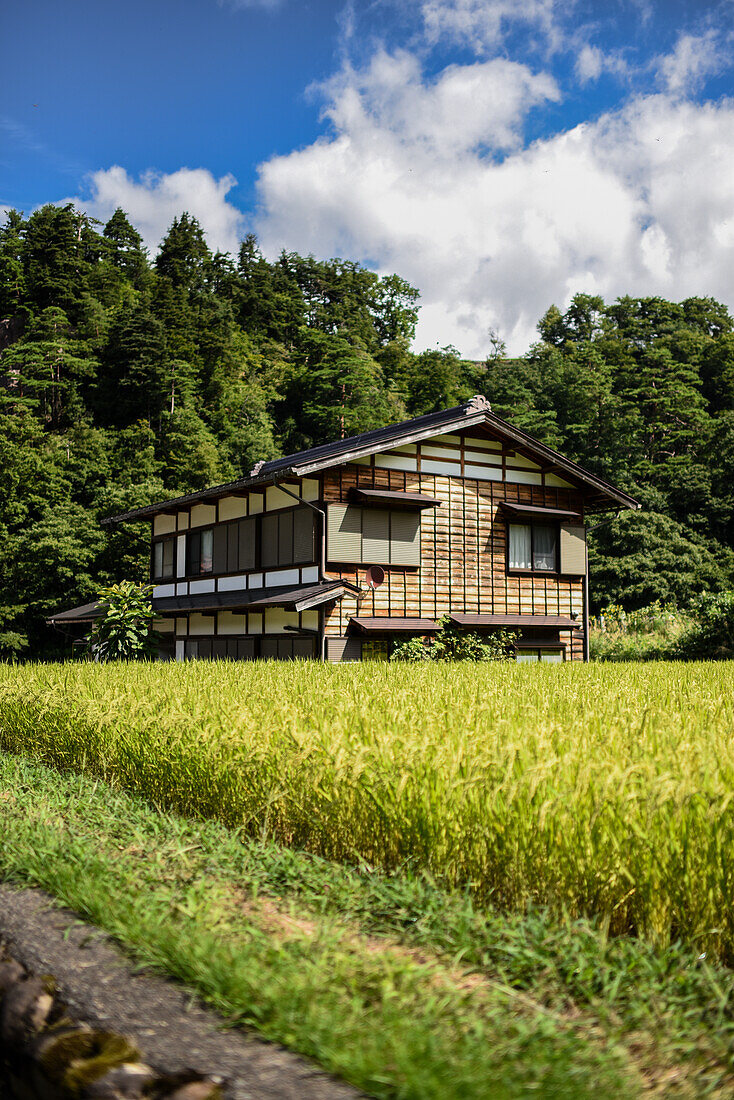 Shirakawa-go, traditional village showcasing a building style known as gassho-zukuri, Gifu Prefecture, Japan