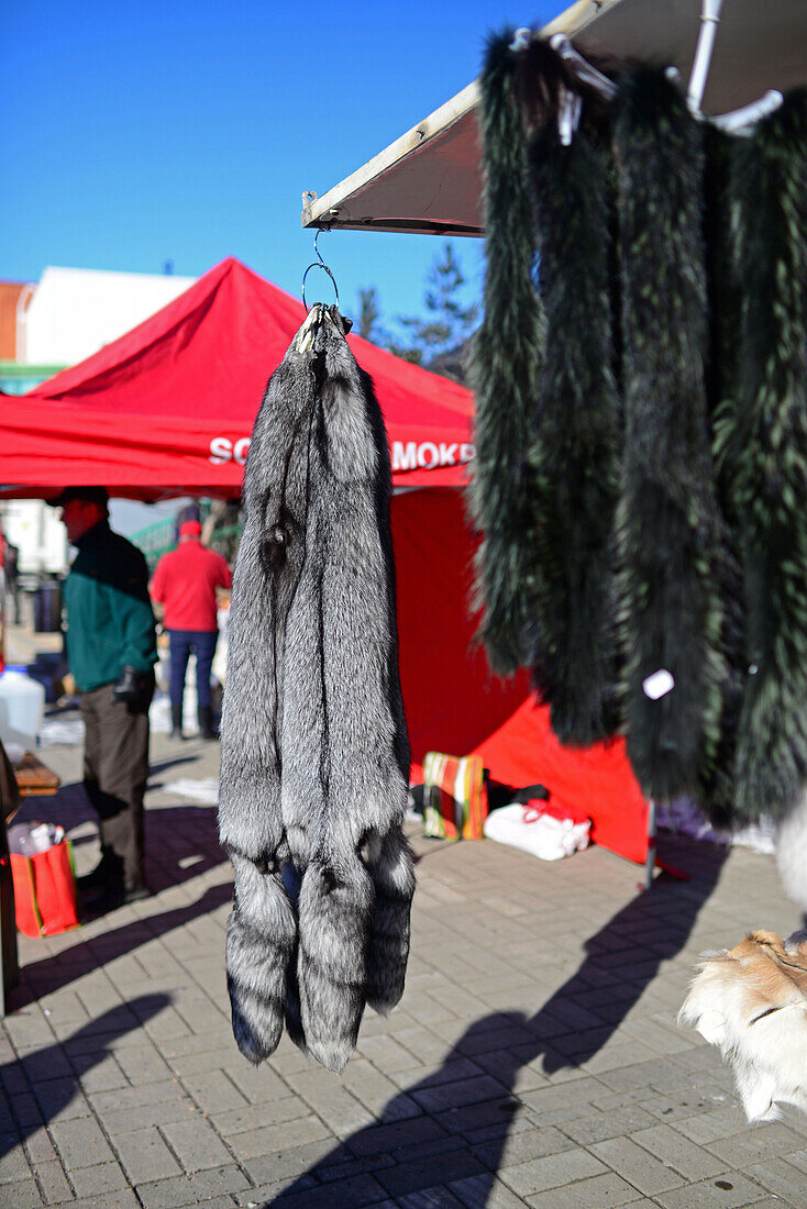 Street Market in Rovaniemi, Lapland, Finland