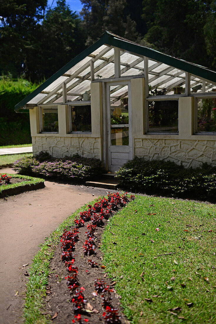 Altes Gewächshaus im Victoria Park, öffentlicher Park in Nuwara Eliya, Sri Lanka