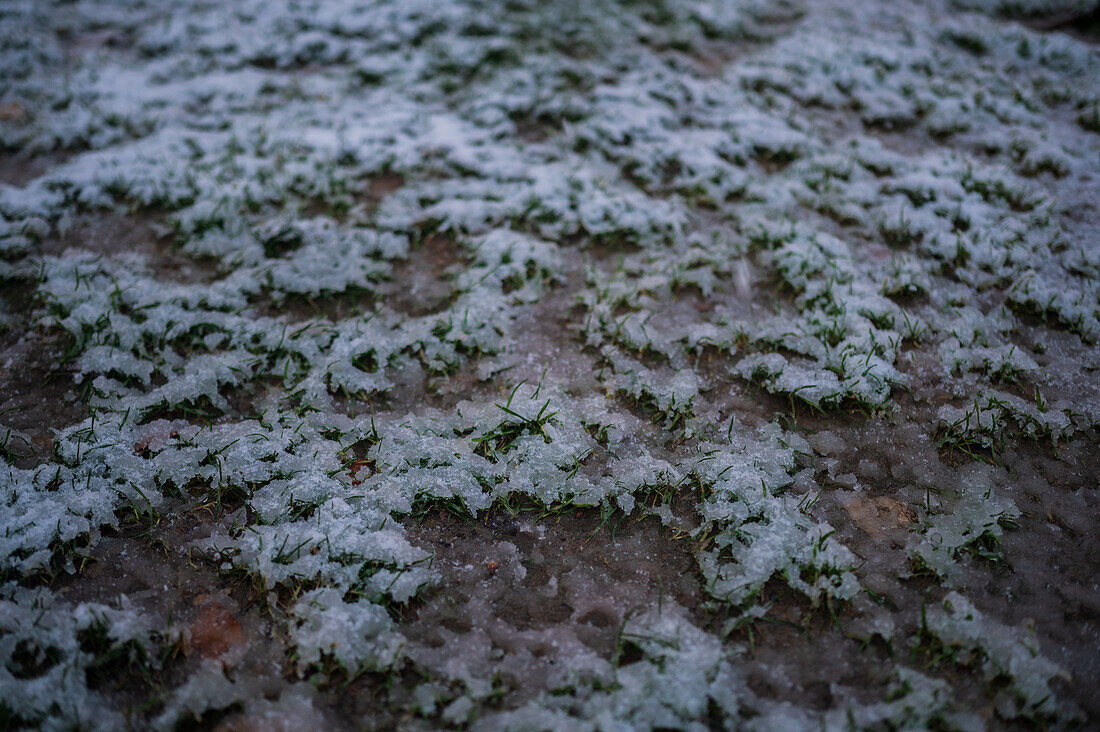 Zaragoza blanketed in snow by storm Juan