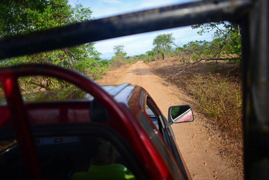 Blick vom Dach eines Safari-Jeeps, Udawalawe-Nationalpark, an der Grenze der Provinzen Sabaragamuwa und Uva, in Sri Lanka