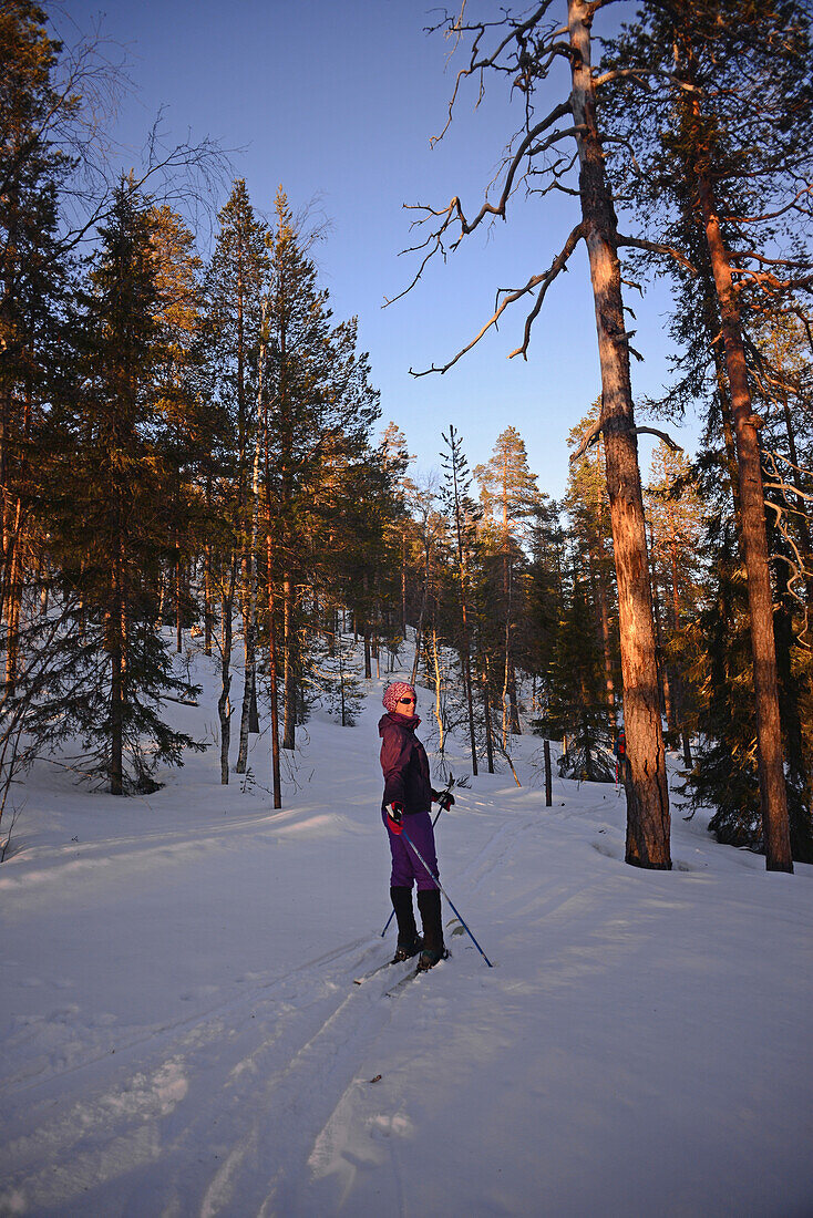 Young woman practicing Altai Skiing in Pyh? ski resort, Lapland, Finland