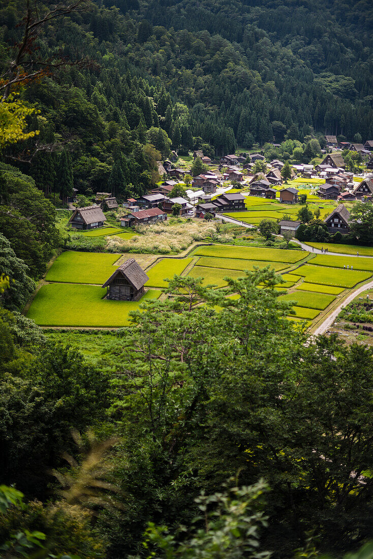 Shirakawa-go, traditionelles Dorf, das einen als gassho-zukuri bekannten Baustil zeigt, Präfektur Gifu, Japan