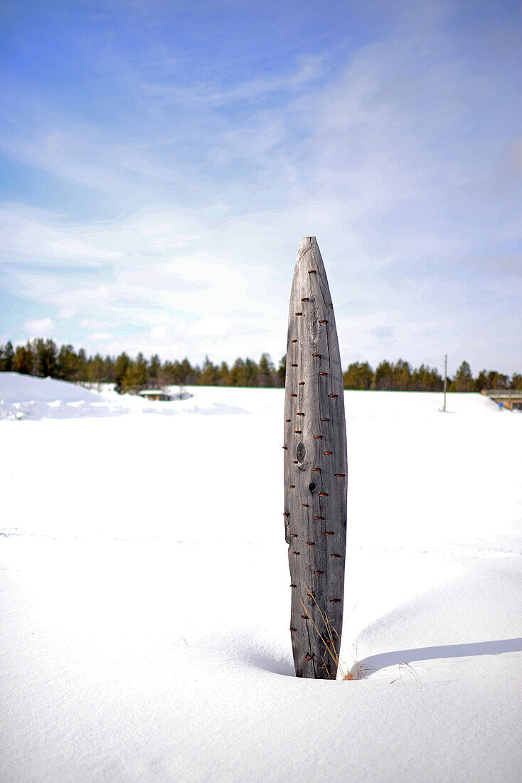 Artistic sculptures in Kakslauttanen Arctic Resort, Saariselka, Finland