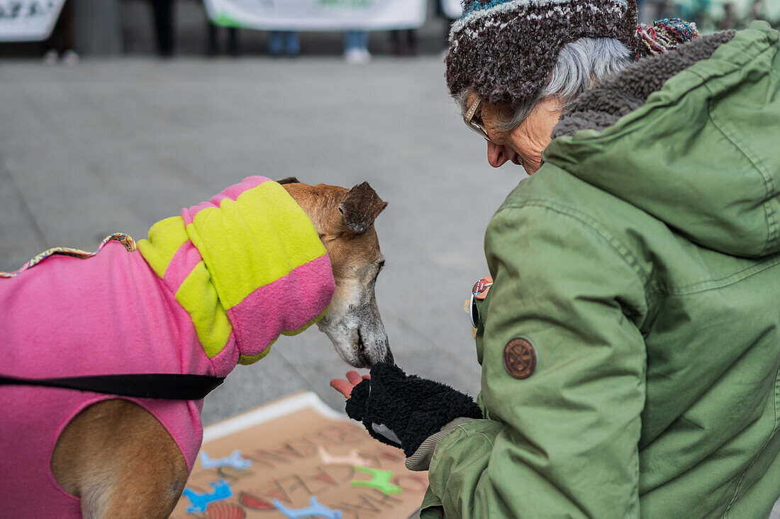 Thousands of people demonstrate in Spain to demand an end to hunting with dogs, Zaragoza, Spain