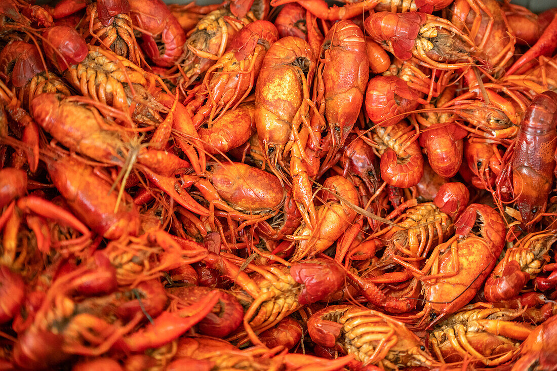 Boiled crawfish in New Orleands