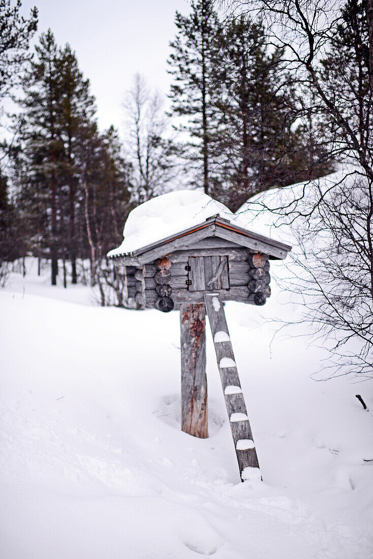 Kakslauttanen Arctic Resort in Saariselka, Finland