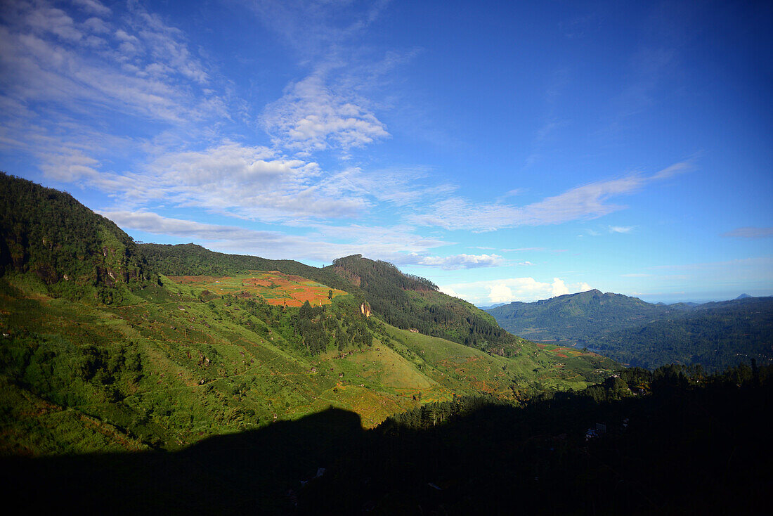 Berge und Felder von Nuwara Eliya, Sri Lanka