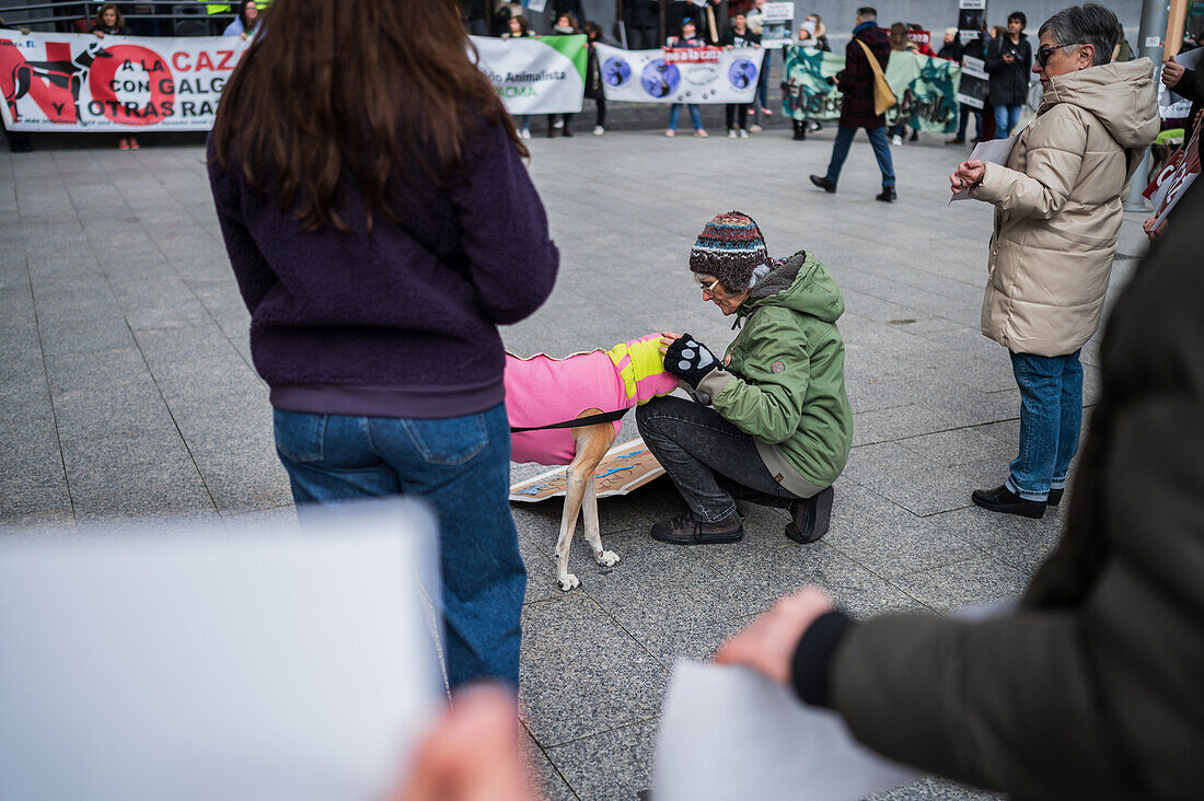 Thousands of people demonstrate in Spain to demand an end to hunting with dogs, Zaragoza, Spain