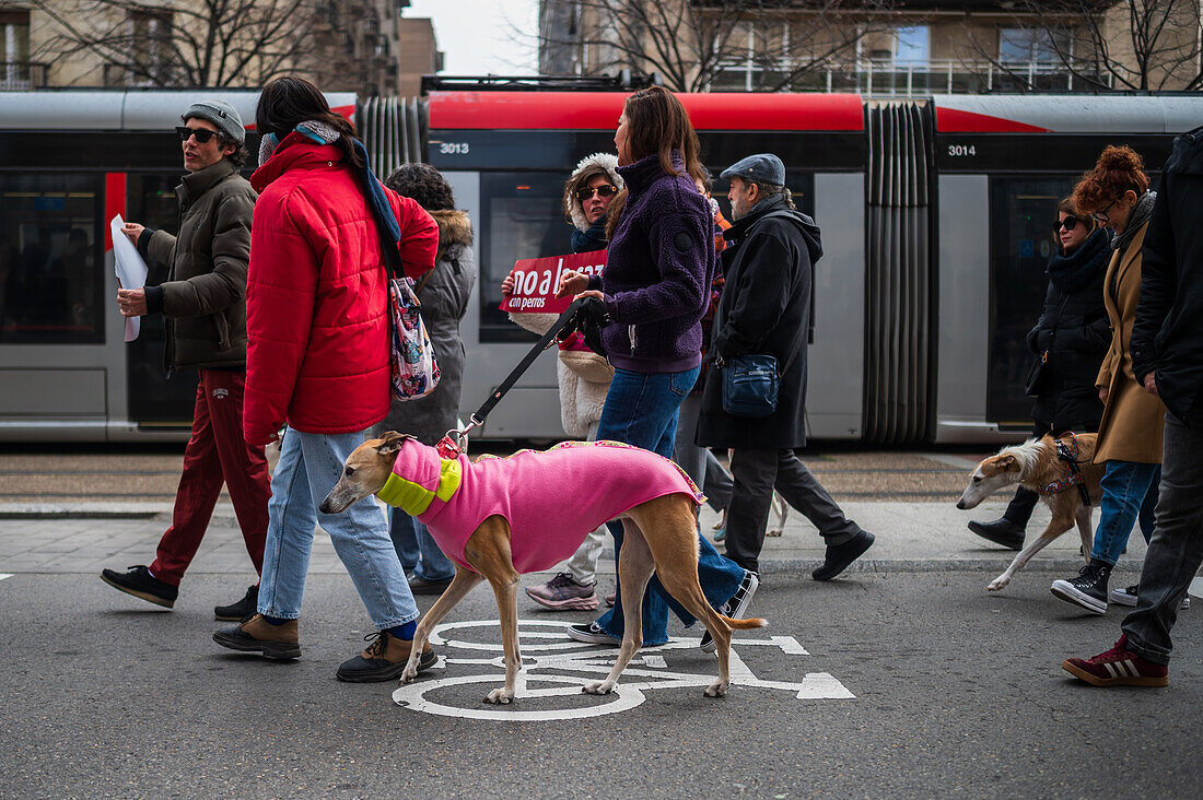 Thousands of people demonstrate in Spain to demand an end to hunting with dogs, Zaragoza, Spain