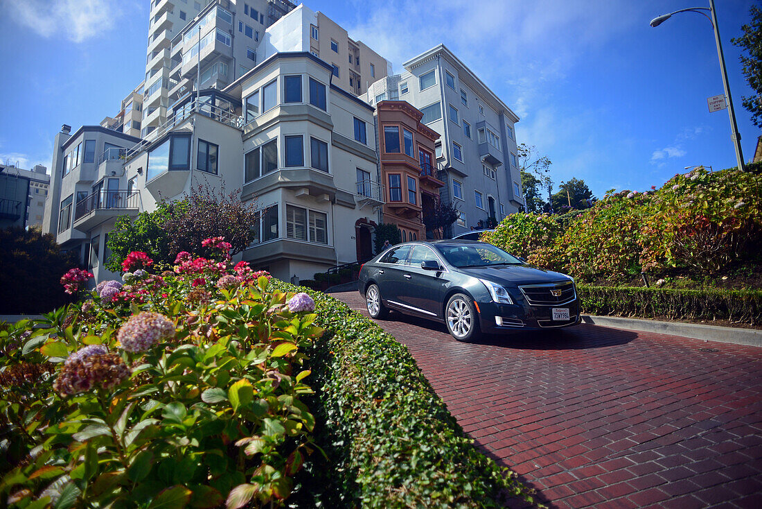 Beliebte Lombard Street in San Francisco, eine Straße zwischen Ost und West, die für einen steilen Block mit acht Haarnadelkurven bekannt ist