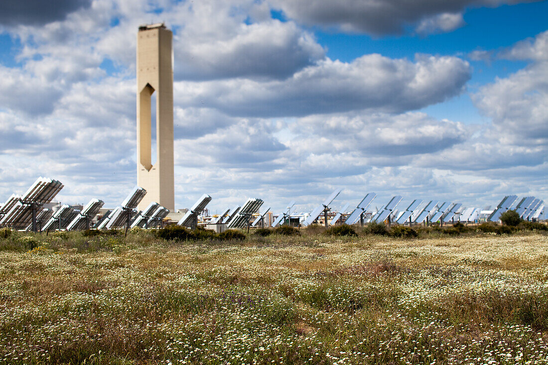 pringtime Solar: A Solar Power Plant Amid a Meadow of Flowers in Spain