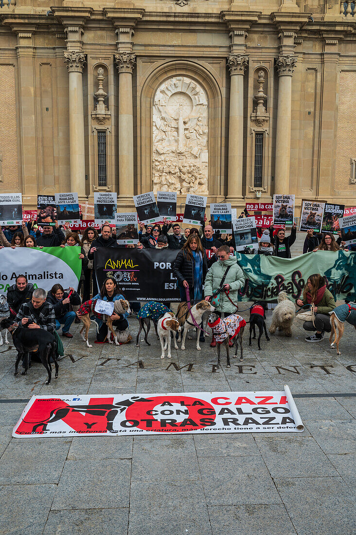 Tausende von Menschen demonstrieren in Spanien, um ein Ende der Jagd mit Hunden zu fordern, Zaragoza, Spanien