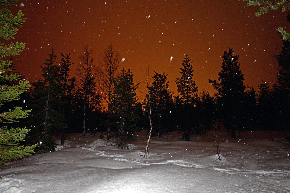 Nachtansicht des Himmels in Rovaniemi, Lappland