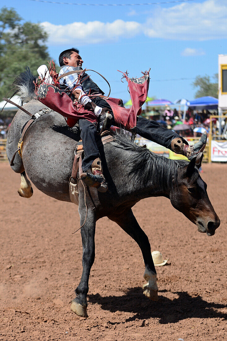 Rodeo competition during Navajo Nation Fair, a world-renowned event that showcases Navajo Agriculture, Fine Arts and Crafts, with the promotion and preservation of the Navajo heritage by providing cultural entertainment. Window Rock, Arizona.