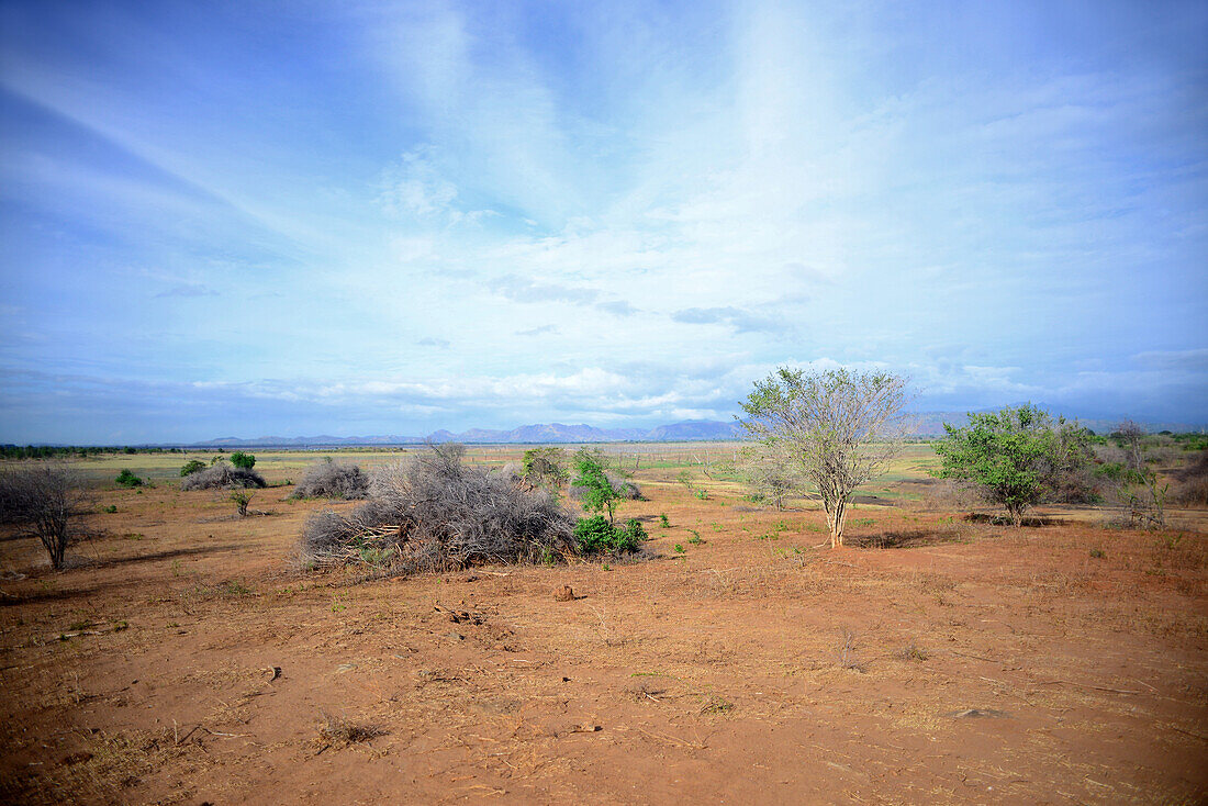 Udawalawe-Nationalpark, an der Grenze zwischen den Provinzen Sabaragamuwa und Uva in Sri Lanka