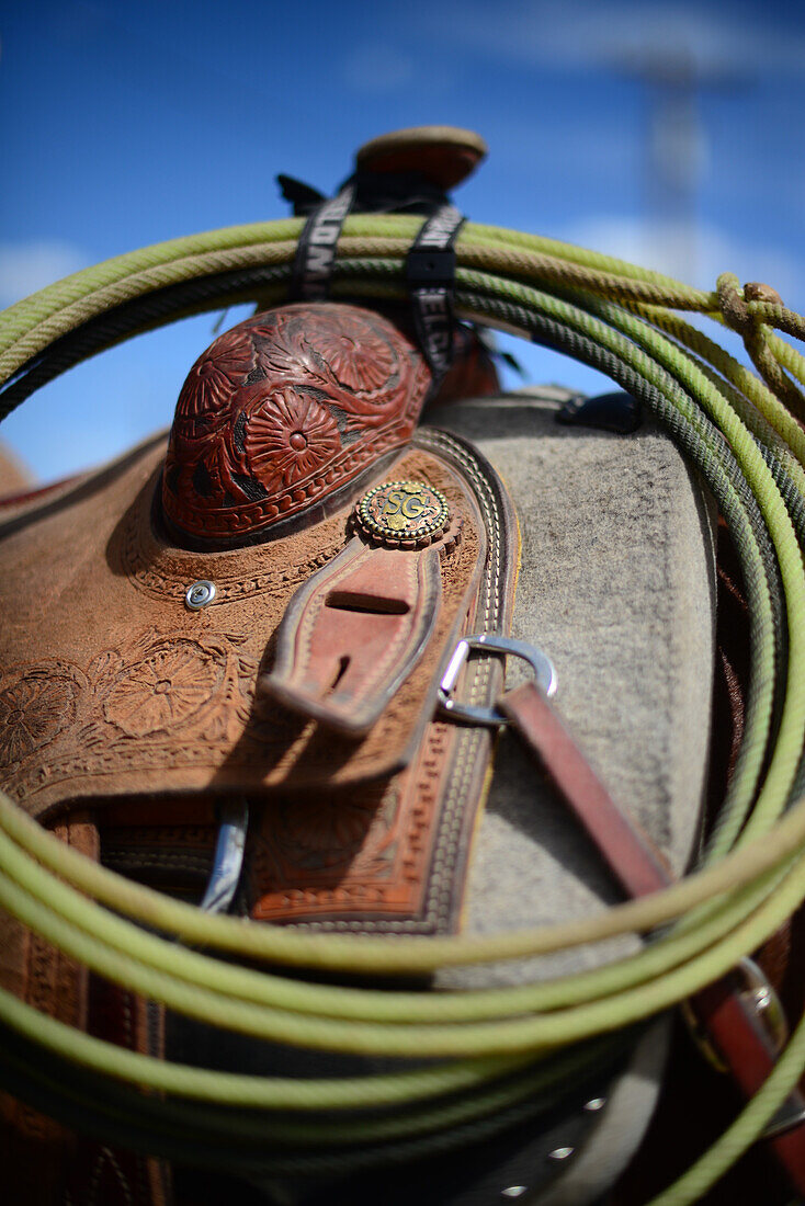 Rodeo-Wettbewerb während der Navajo Nation Fair, einer weltbekannten Veranstaltung, die die Landwirtschaft, die Kunst und das Kunsthandwerk der Navajo vorstellt und durch kulturelle Unterhaltung das Erbe der Navajo fördert und bewahrt. Window Rock, Arizona