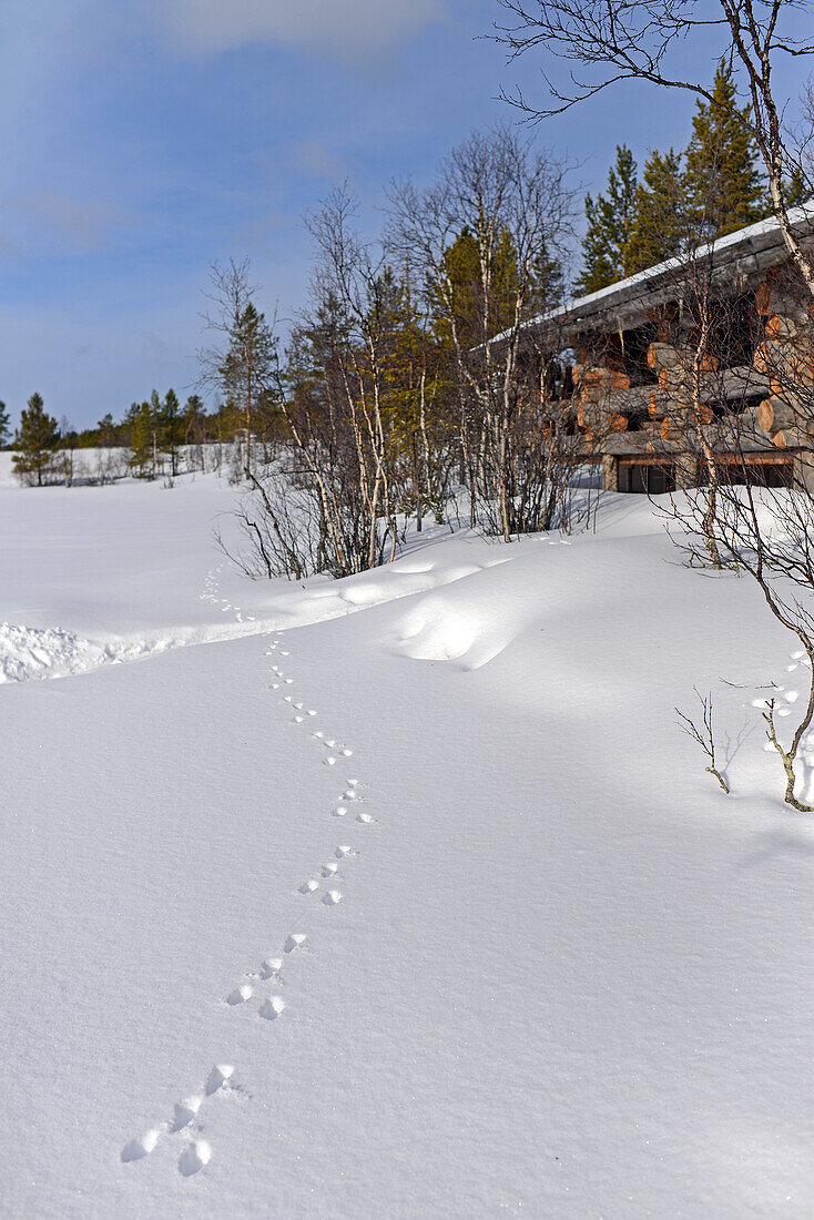 Kleinsäugerabdrücke auf dem Schnee im Kakslauttanen Arctic Resort, Saariselka, Finnland