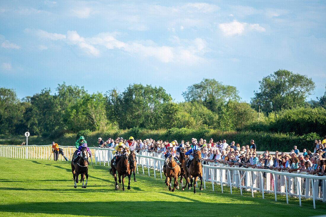 Rennpferd in Ripon Races England 2023