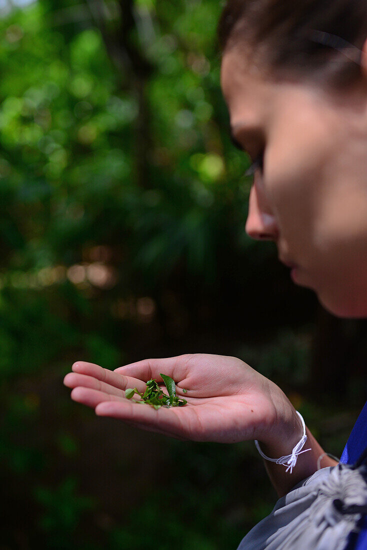 Young woman smelling herbs in spice garden, Sri Lanka