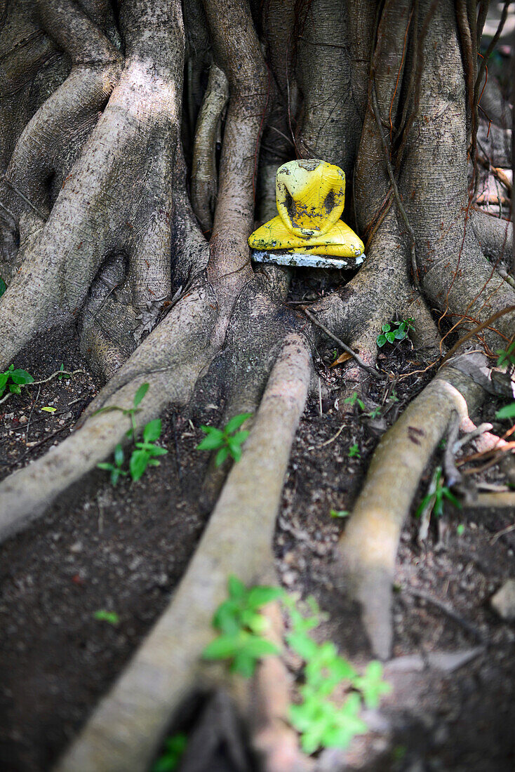 Yatagala Raja Maha Viharaya Buddhist temple, Unawatuna, Sri Lanka