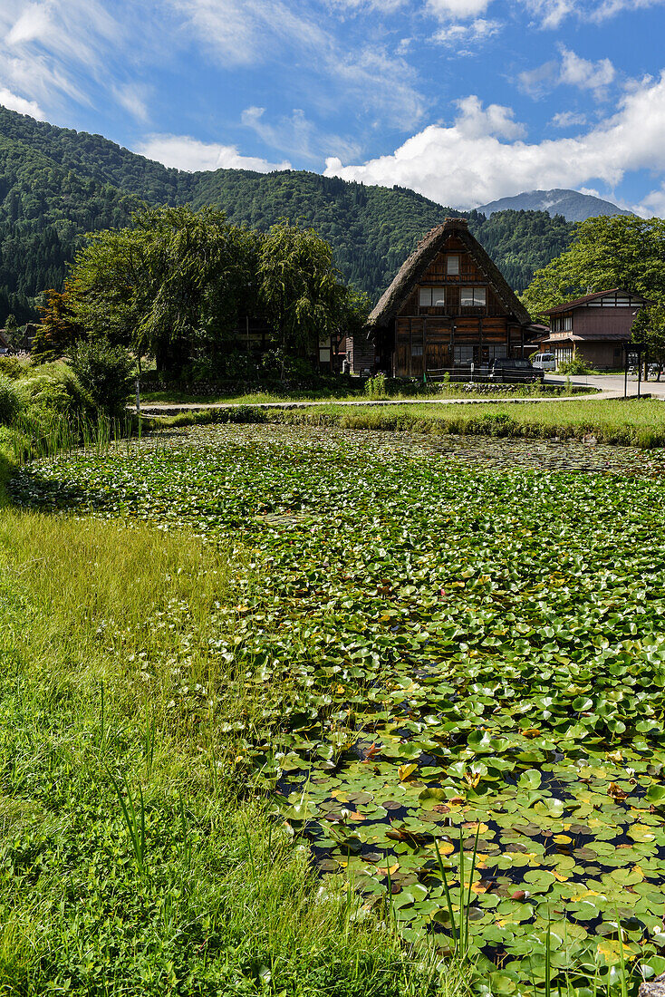 Shirakawa-go, traditionelles Dorf, das einen als gassho-zukuri bekannten Baustil zeigt, Präfektur Gifu, Japan