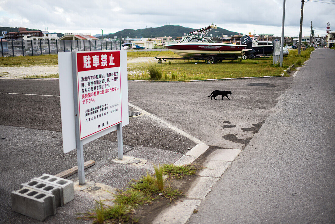 Schwarze Katze läuft durch die Straßen von Ishigaki, Okinawa, Japan