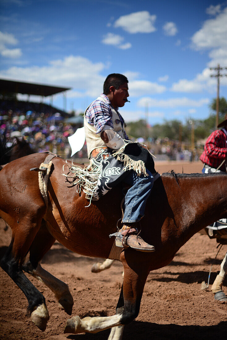 Rodeo-Wettbewerb während der Navajo Nation Fair, einer weltbekannten Veranstaltung, die die Landwirtschaft, die Kunst und das Kunsthandwerk der Navajo vorstellt und durch kulturelle Unterhaltung das Erbe der Navajo fördert und bewahrt. Window Rock, Arizona