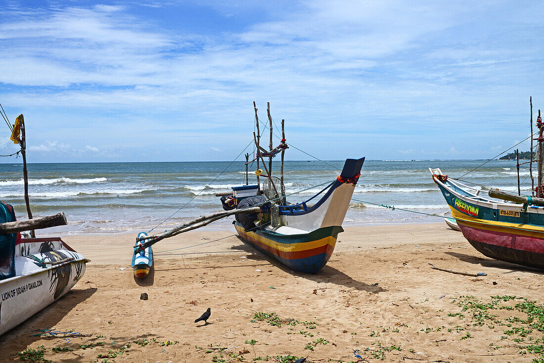 Traditional fishing boats in Weligama, Sri Lanka