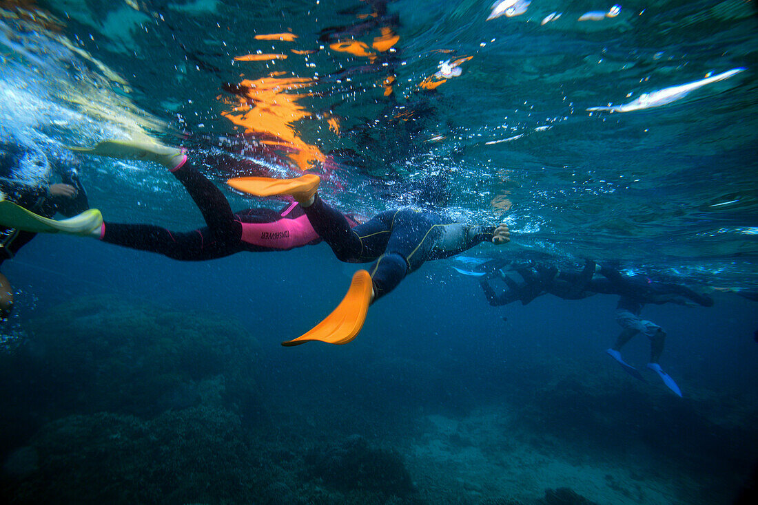 Snorkeling in Ishigaki, Okinawa Prefecture, Japan