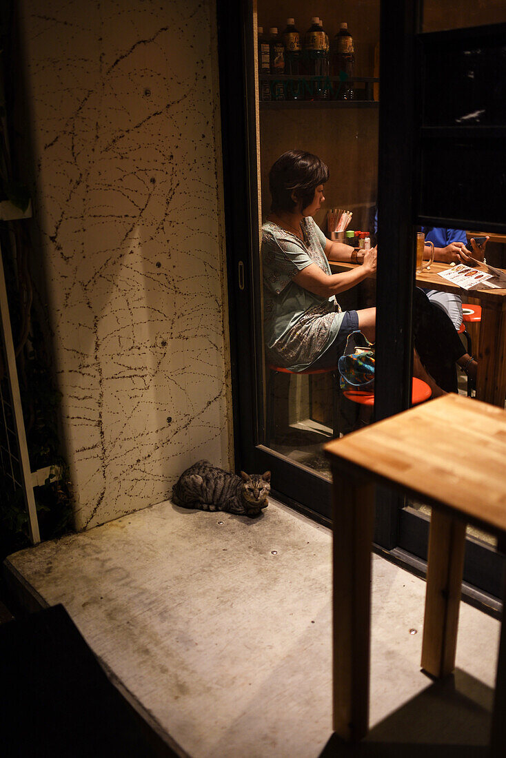 Cat resting outside a restaurant, Ishigaki, Okinawa, Japan