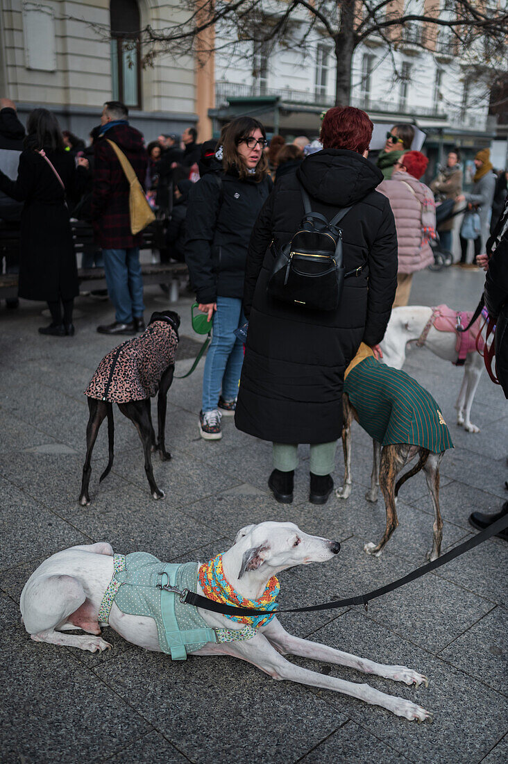 Thousands of people demonstrate in Spain to demand an end to hunting with dogs, Zaragoza, Spain