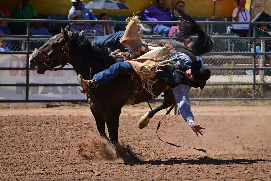 Rodeo competition during Navajo Nation Fair, a world-renowned event that showcases Navajo Agriculture, Fine Arts and Crafts, with the promotion and preservation of the Navajo heritage by providing cultural entertainment. Window Rock, Arizona.