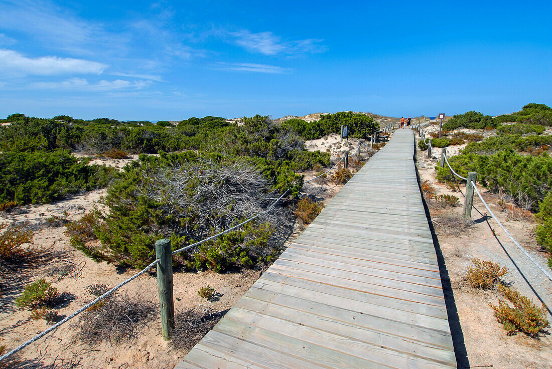 Hölzerne Strandpromenade auf Formentera, Balearische Inseln, Spanien