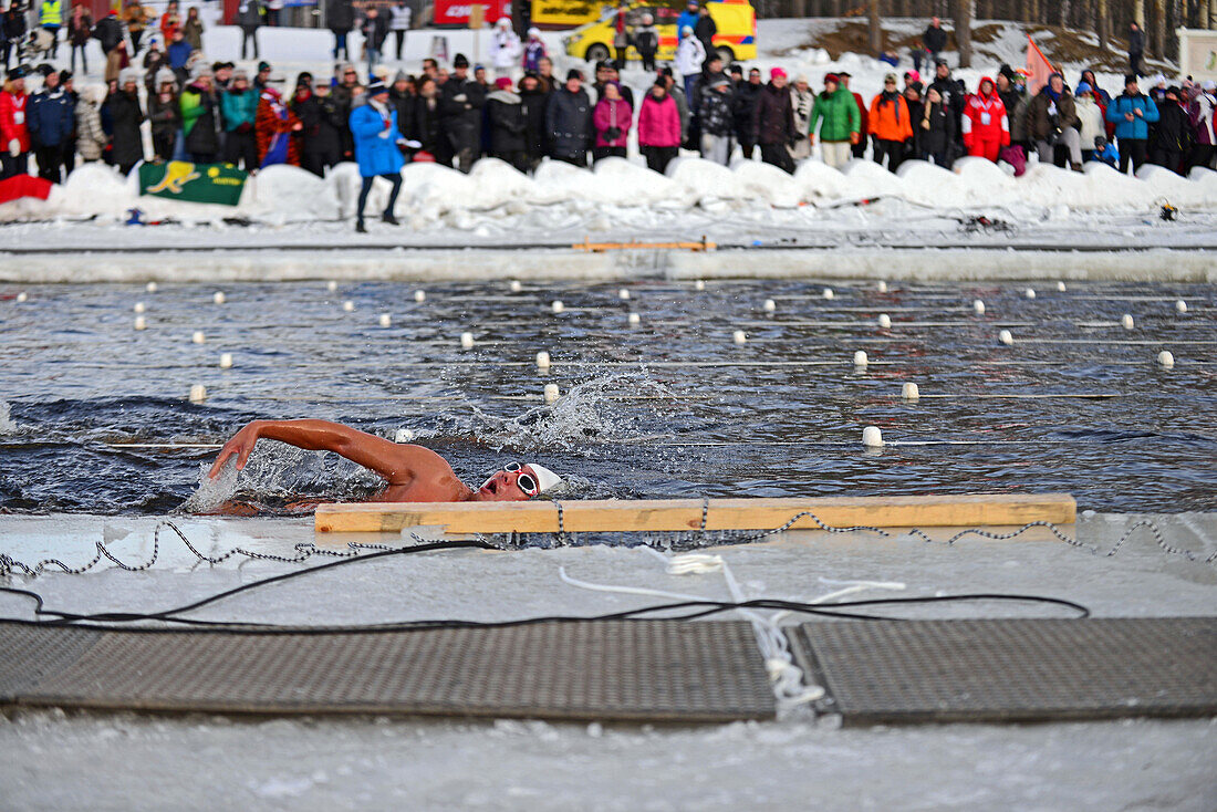 Winter Swimming World Championships 2014 in Rovaniemi, Finland