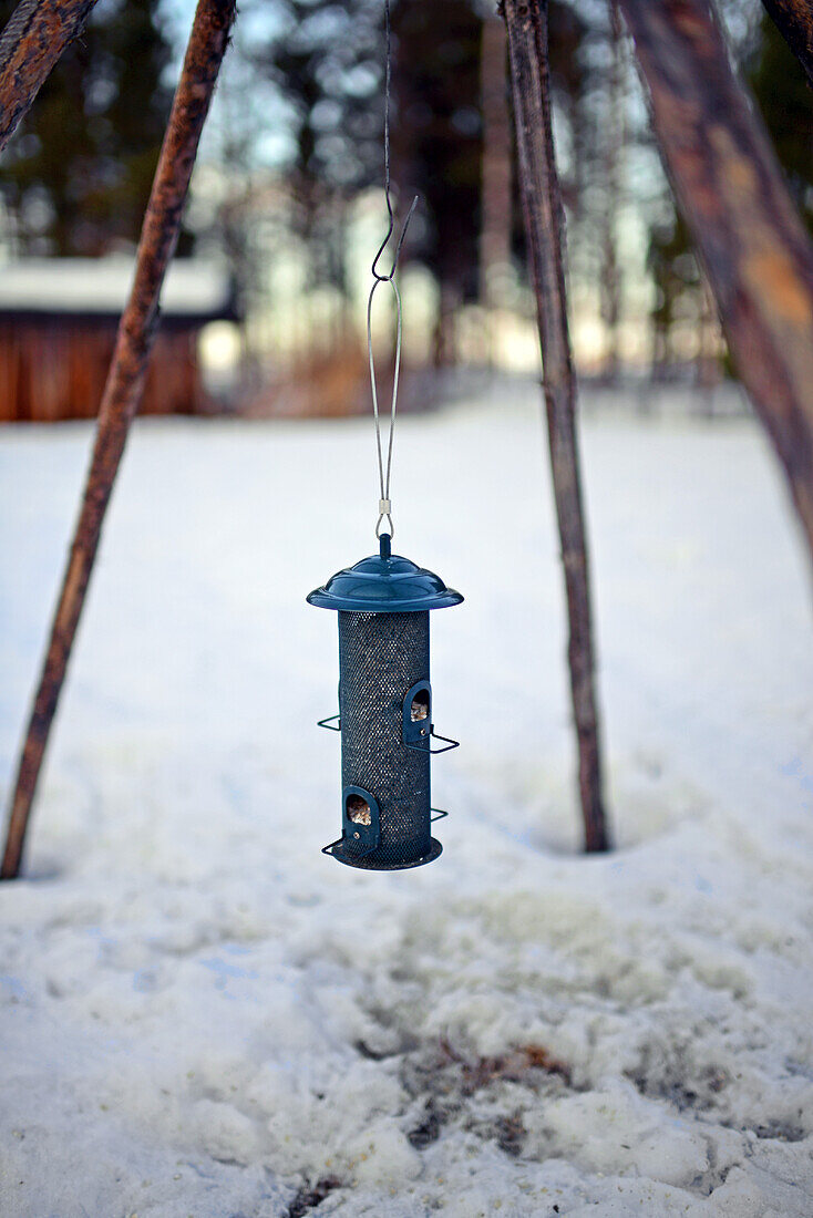 Bird feeder. In the Reindeer farm of Tuula Airamo, a S?mi descendant, by Muttus Lake. Inari, Lapland, Finland