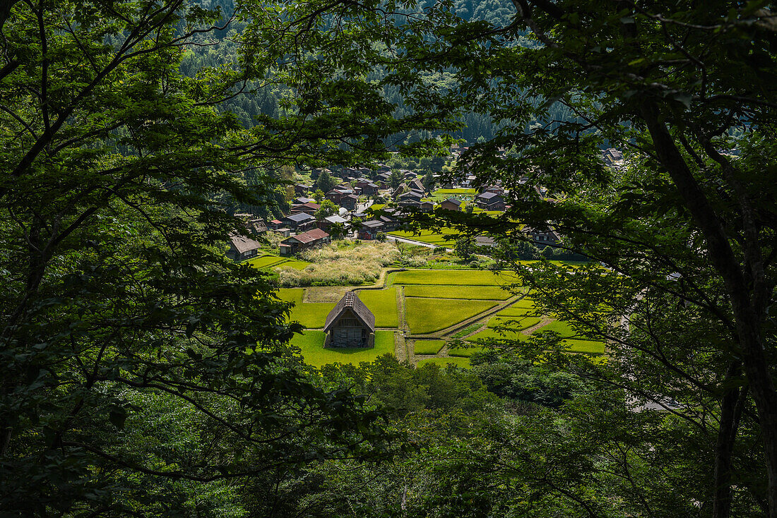 Shirakawa-go, traditional village showcasing a building style known as gassho-zukuri, Gifu Prefecture, Japan