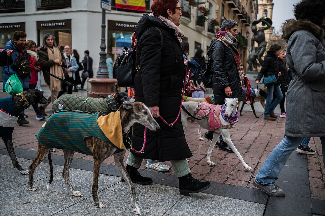 Tausende von Menschen demonstrieren in Spanien, um ein Ende der Jagd mit Hunden zu fordern, Zaragoza, Spanien