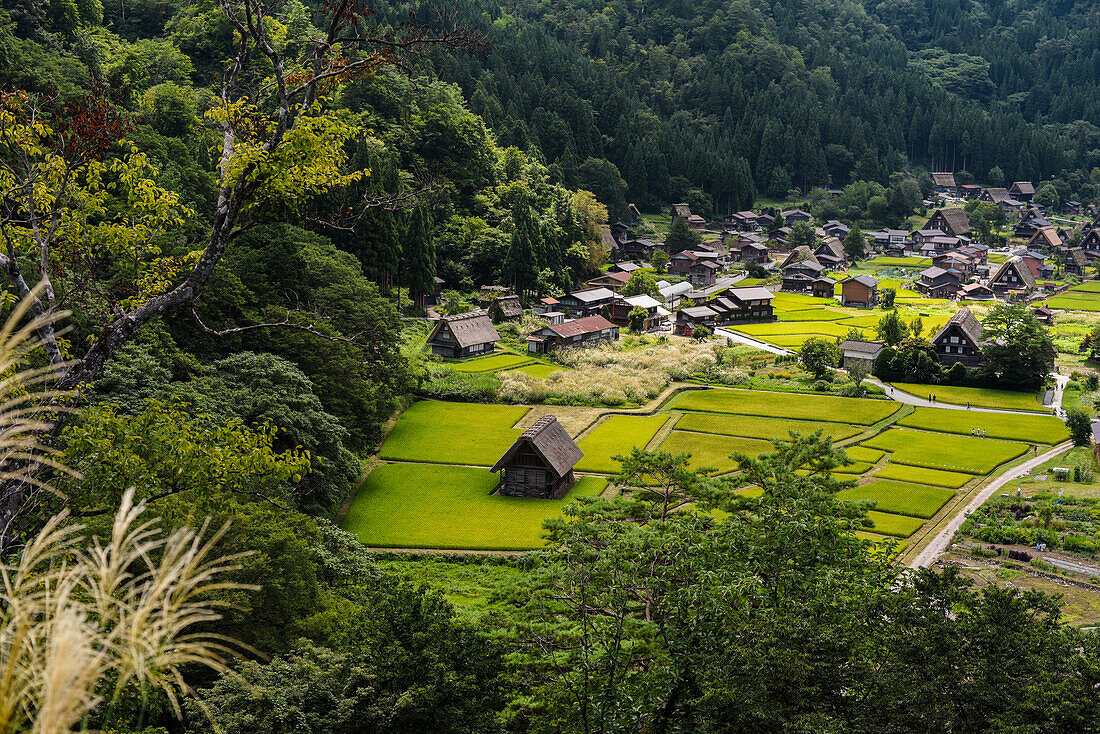 Shirakawa-go, traditional village showcasing a building style known as gassho-zukuri, Gifu Prefecture, Japan