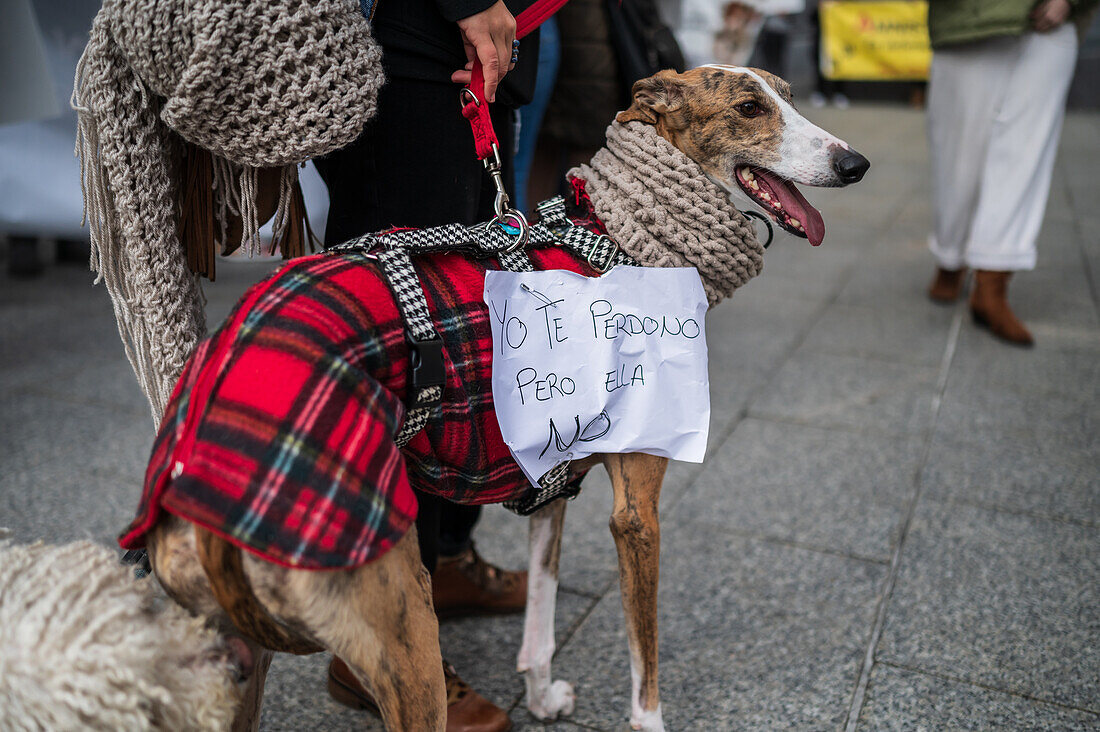 Tausende von Menschen demonstrieren in Spanien, um ein Ende der Jagd mit Hunden zu fordern, Zaragoza, Spanien