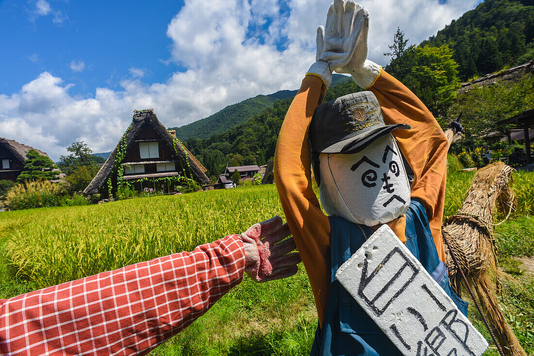 Scarecrows in front of traditional Gassho-Zukuri thatched wooden farmhouses in Shirakawa-go village, Gifu Prefecture, Japan