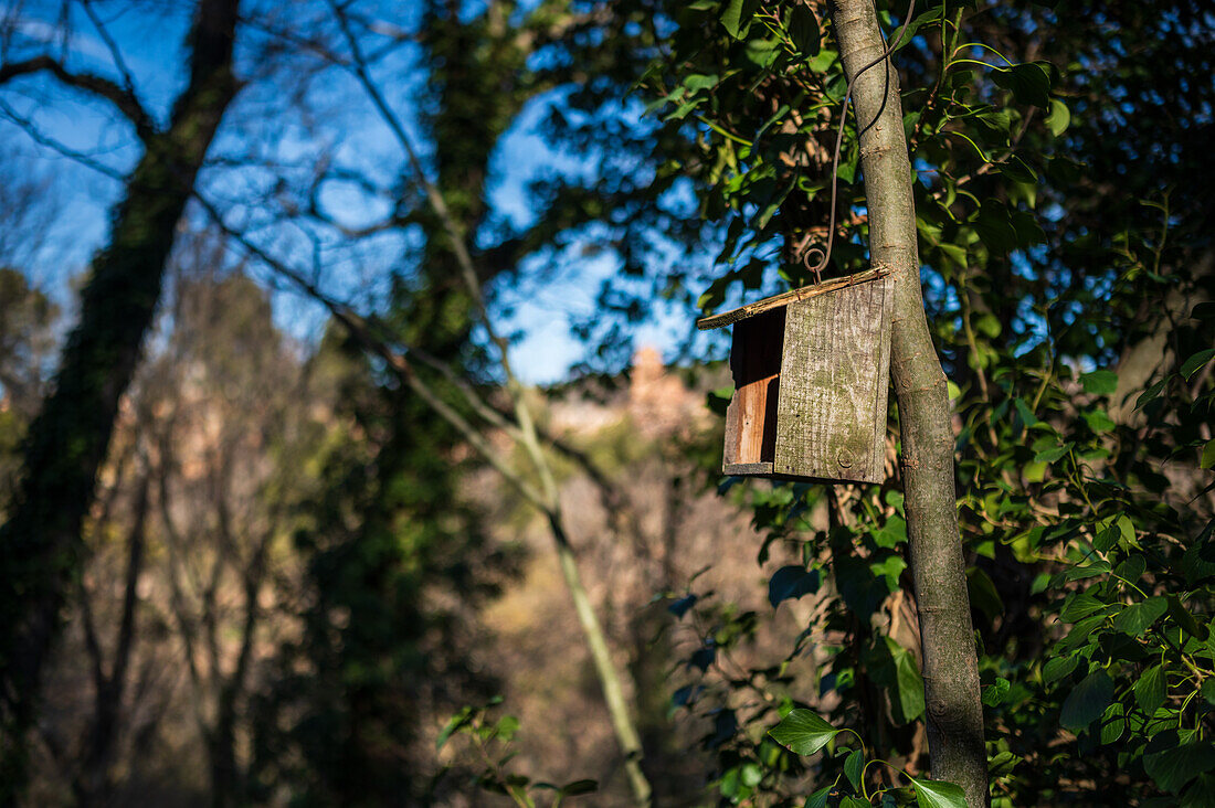 Naturpark Monasterio de Piedra, rund um das Monasterio de Piedra (Steinkloster) in Nuevalos, Zaragoza, Spanien