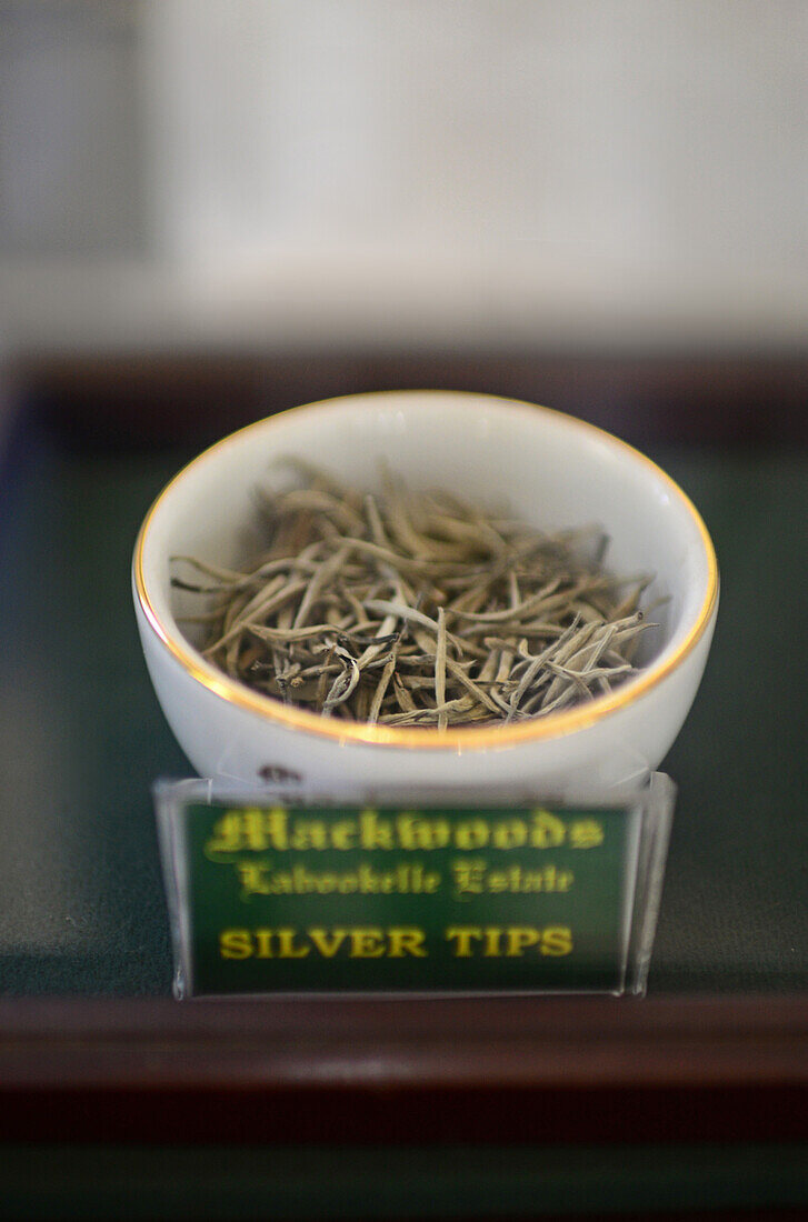Mackwoods Labookellie Tea Centre, Nuwara Eliya, Sri Lanka