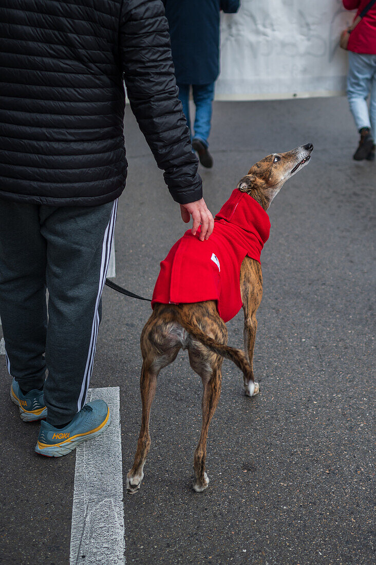 Thousands of people demonstrate in Spain to demand an end to hunting with dogs, Zaragoza, Spain