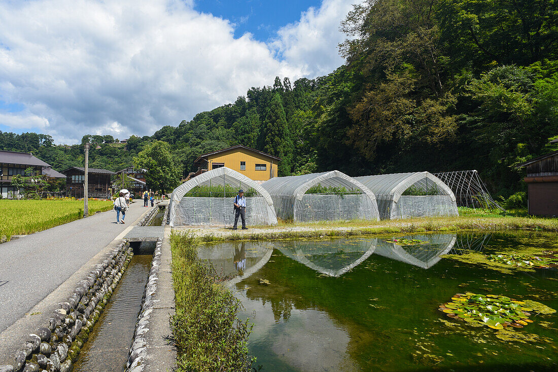 Shirakawa-go, traditionelles Dorf, das einen als gassho-zukuri bekannten Baustil zeigt, Präfektur Gifu, Japan