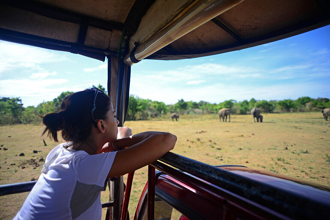 Junge Frau im Safari-Jeep im Udawalawe-Nationalpark, Sri Lanka
