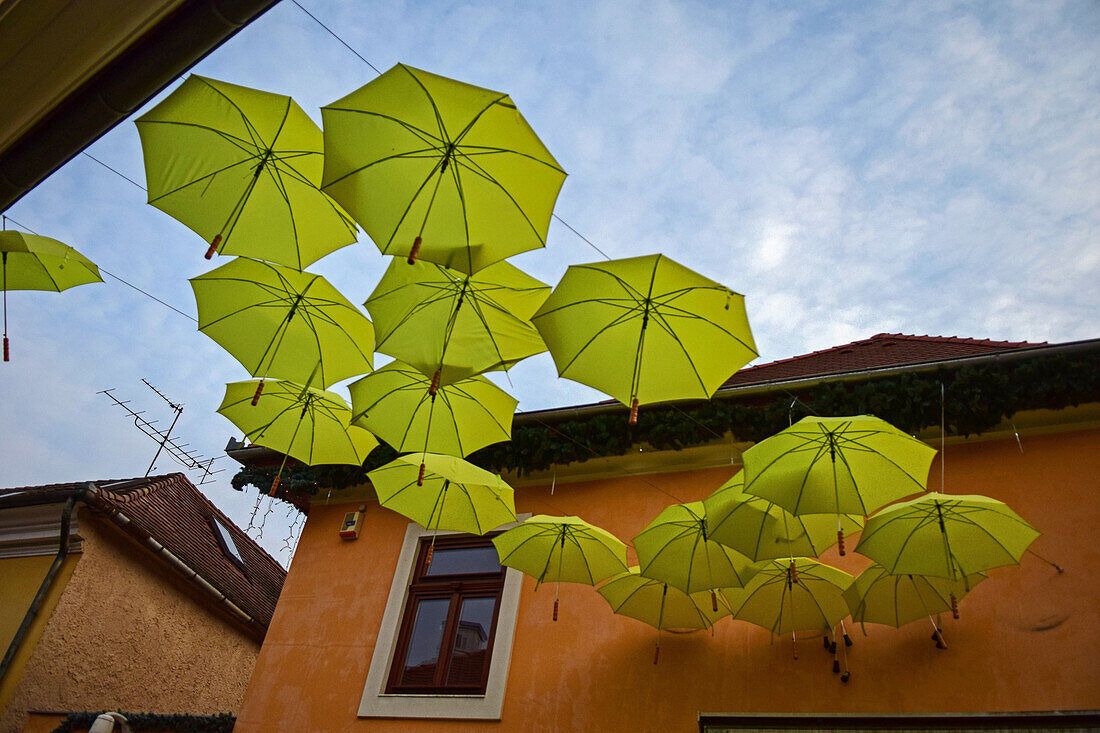 Umbrellas decorate the streets of Szentendre, a riverside town in Pest County, Hungary,