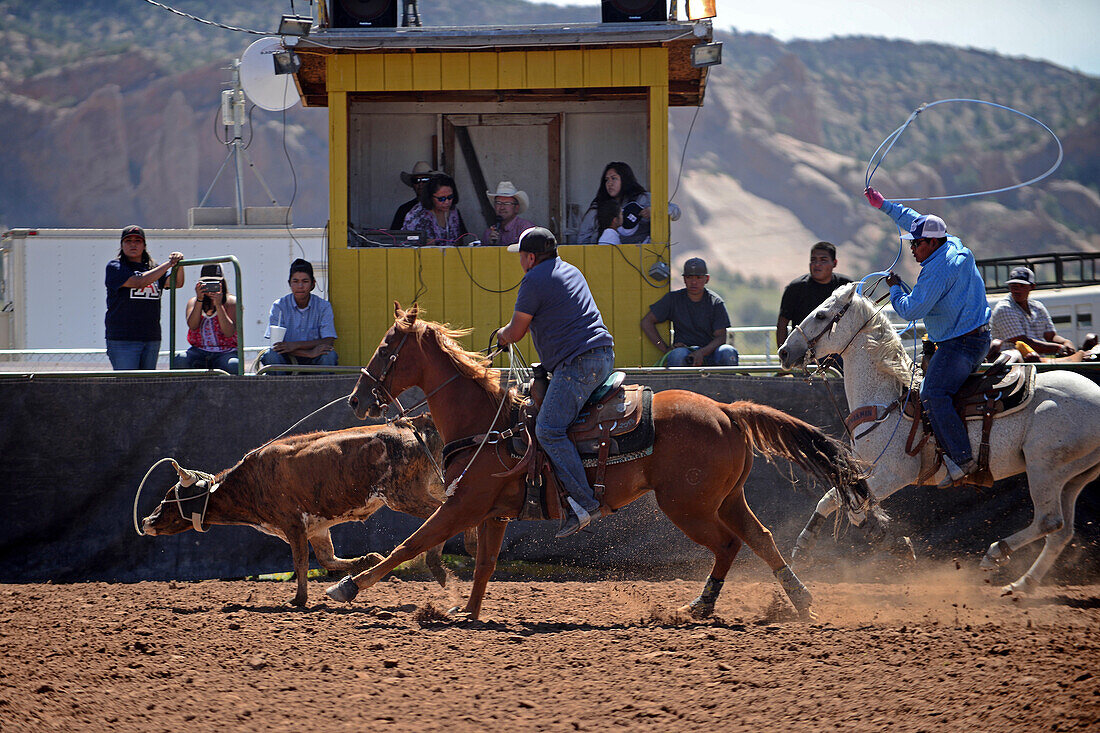 Rodeo-Wettbewerb während der Navajo Nation Fair, einer weltbekannten Veranstaltung, die die Landwirtschaft, die Kunst und das Kunsthandwerk der Navajo vorstellt und durch kulturelle Unterhaltung das Erbe der Navajo fördert und bewahrt. Window Rock, Arizona