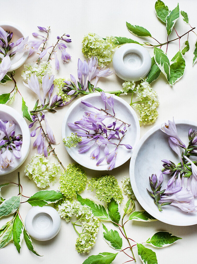 Studio shot of Spring blossoms and ceramic bowls